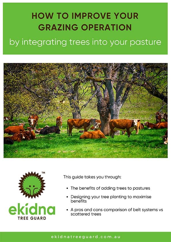 About Us » Tree Guard