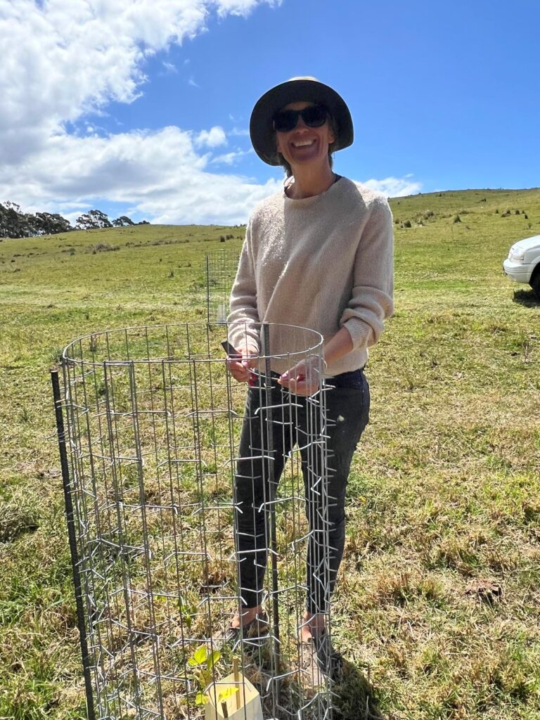 Home &raquo; Tree Guard