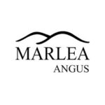 Marlea Angus_grey