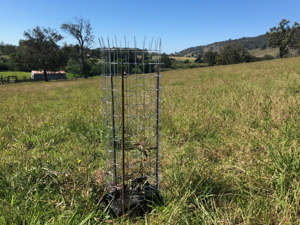 Choosing the right guard &raquo;